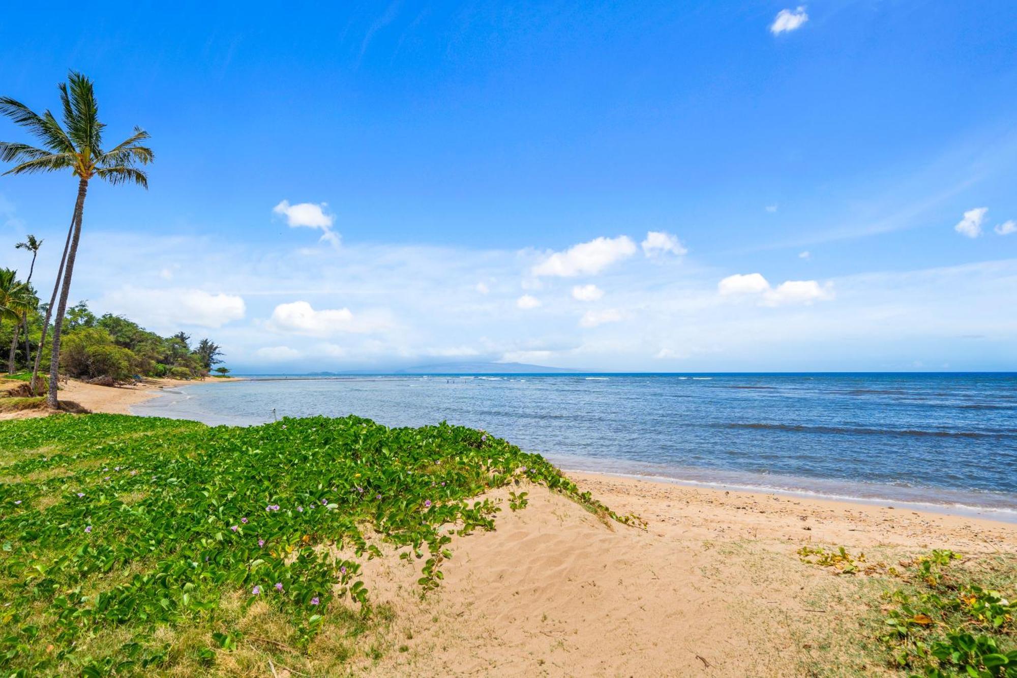 Maui Schooner Resort Kihei Bagian luar foto